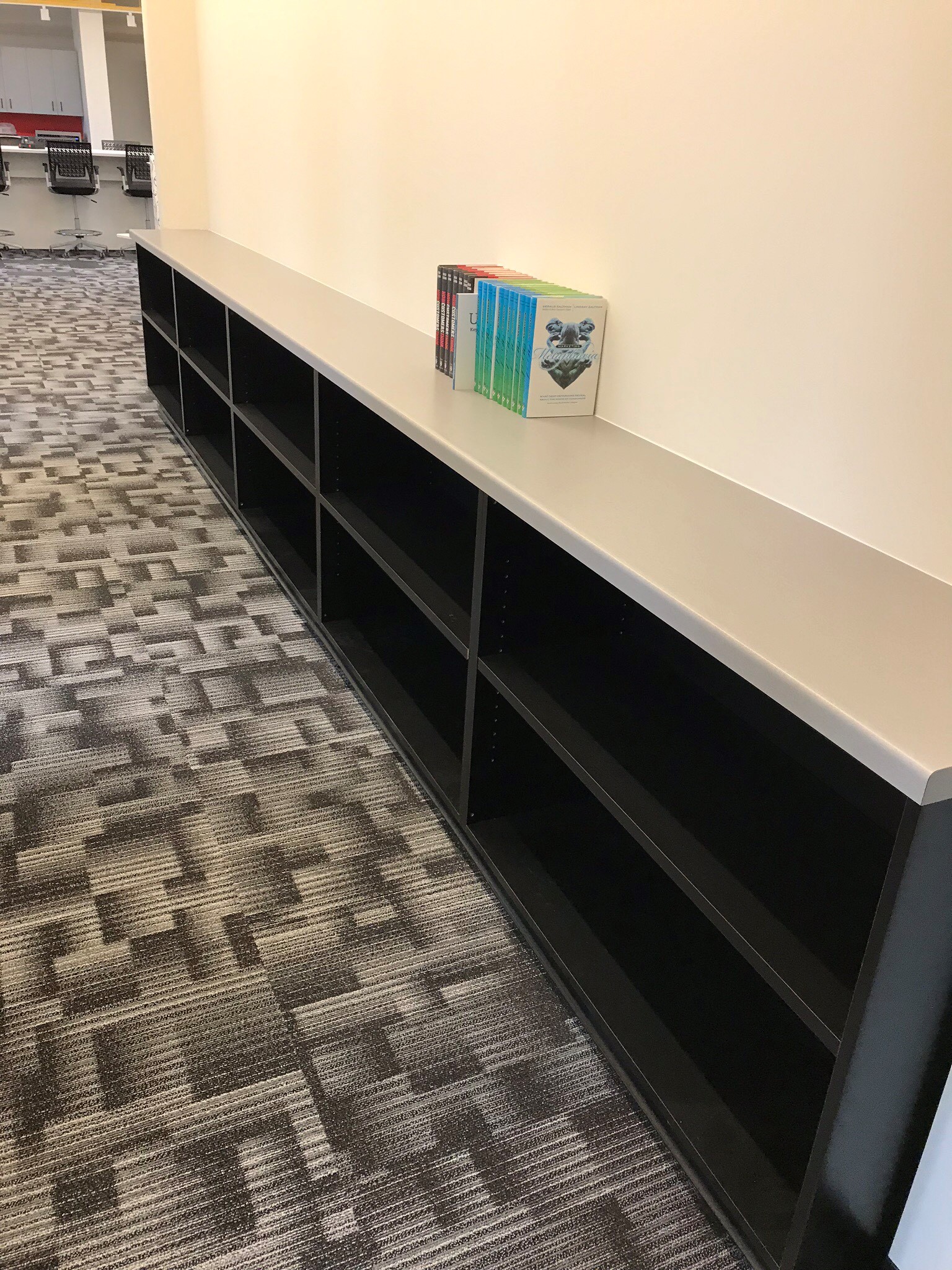 Laminate breakroom casework with solid surface counters (portfolio image 18)
